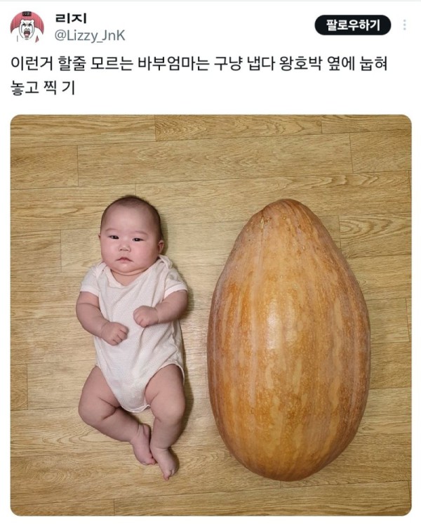 17550510401172.jpg