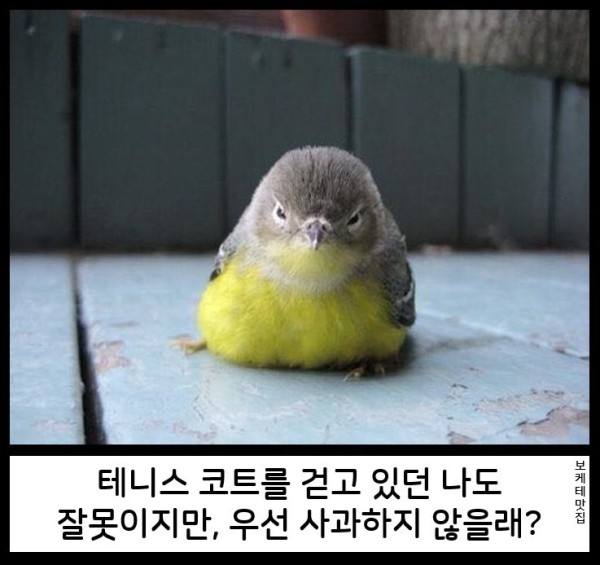 17571723850718.png